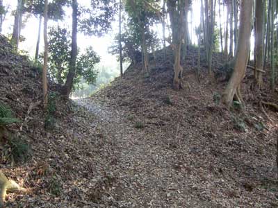 常陸 牛久城